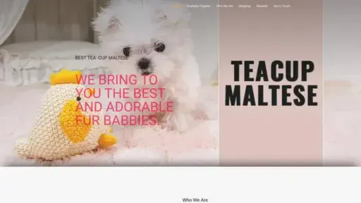 Screenshot of