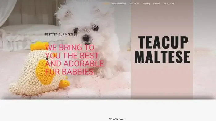 Screenshot of