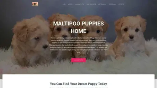 Screenshot of||