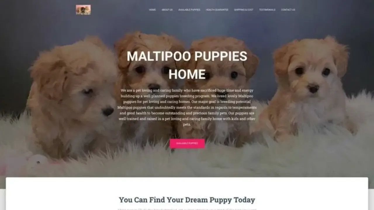 Screenshot of||
