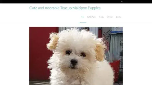 Screenshot of