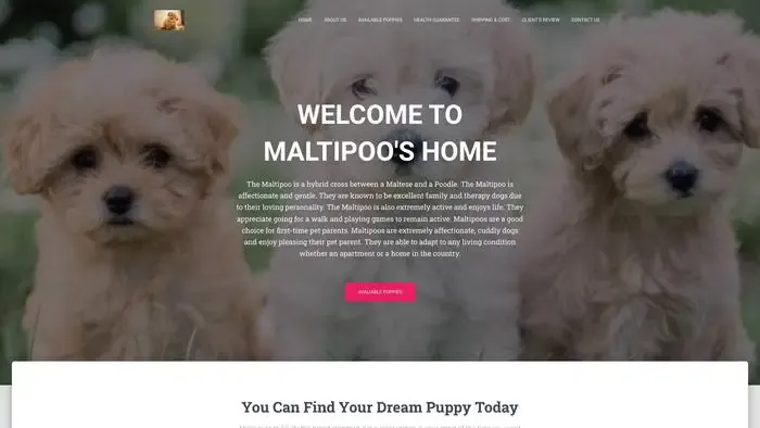 Screenshot of