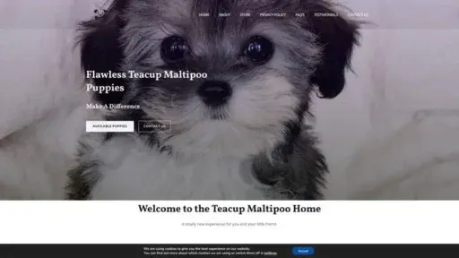 Screenshot of