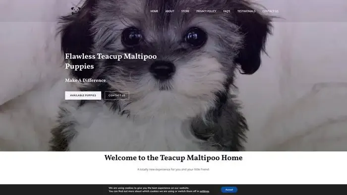 Screenshot of