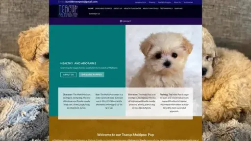 Screenshot of