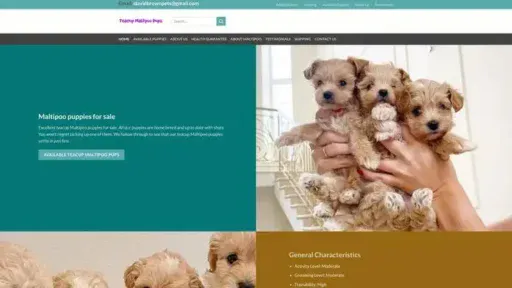 Screenshot of