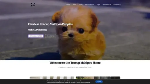 Screenshot of