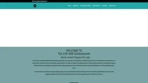 Screenshot of