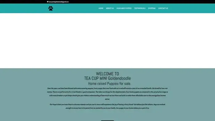 Screenshot of