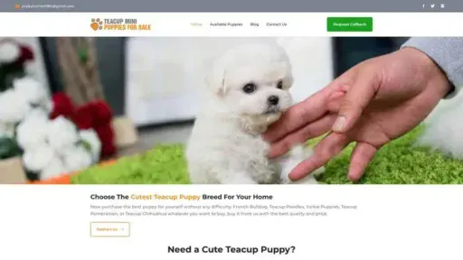 Screenshot of