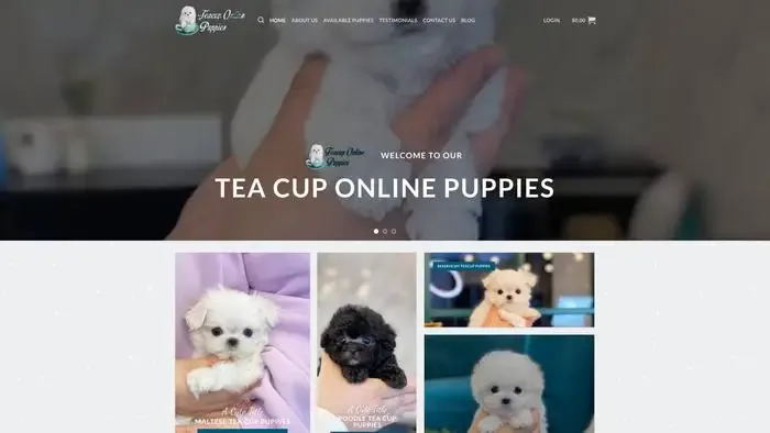 Screenshot of