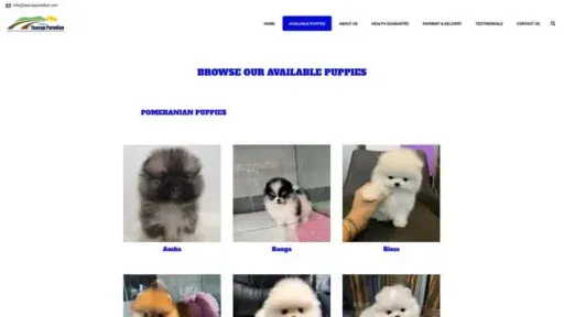 Screenshot of
