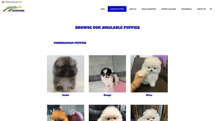 Screenshot of