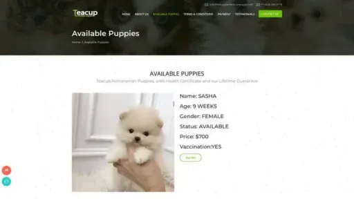 Screenshot of