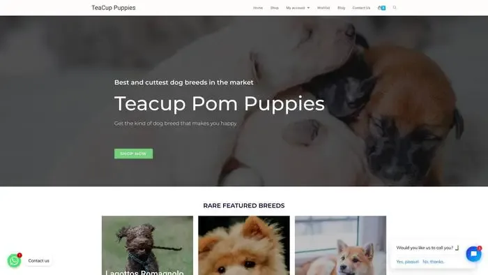 Screenshot of