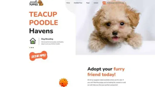 Screenshot of||