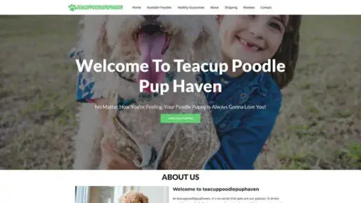 Screenshot of