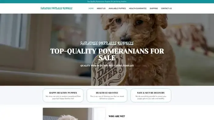 Screenshot of