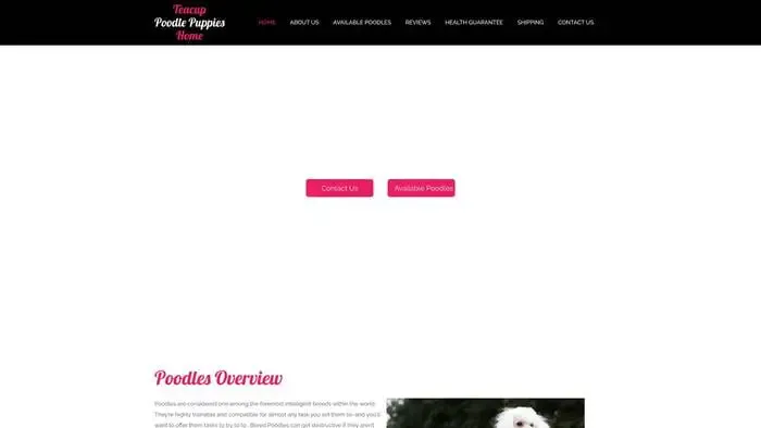 Screenshot of