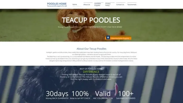 Screenshot of