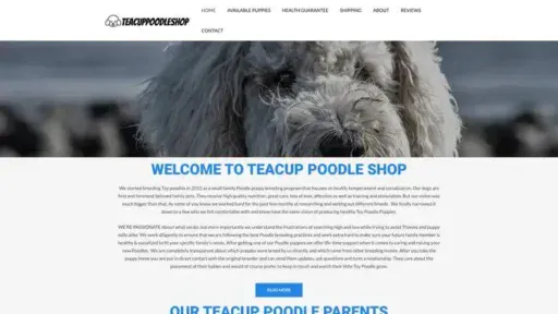 Screenshot of