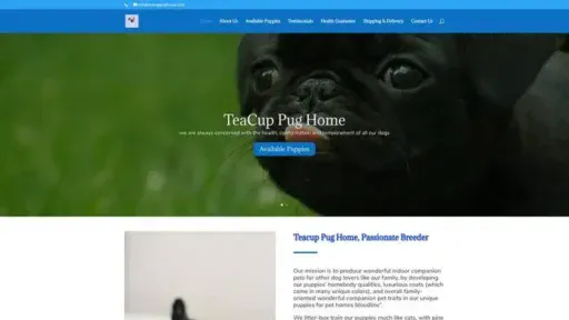 Screenshot of