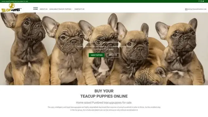 Screenshot of
