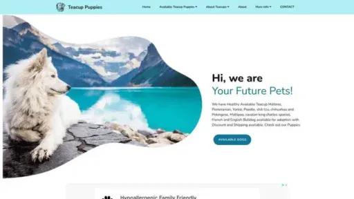 Screenshot of
