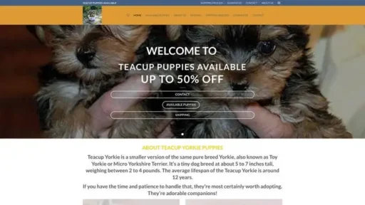 Screenshot of