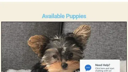 Screenshot of