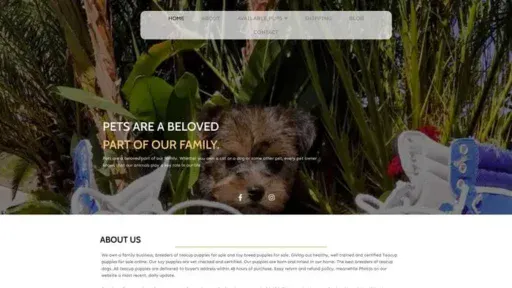 Screenshot of