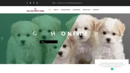 Screenshot of