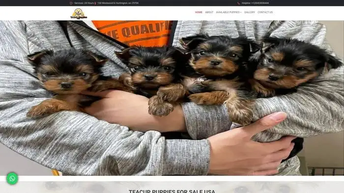 Screenshot of