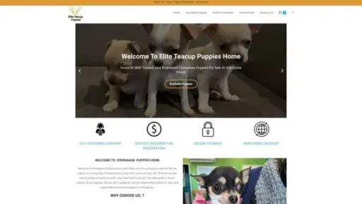 Screenshot of