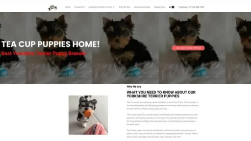 Screenshot of