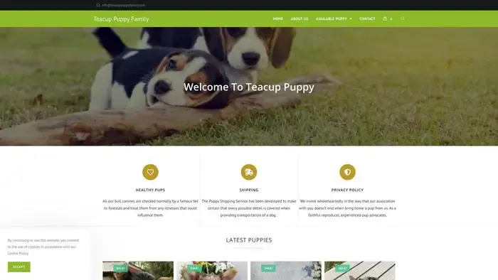 Screenshot of