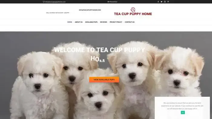 Screenshot of