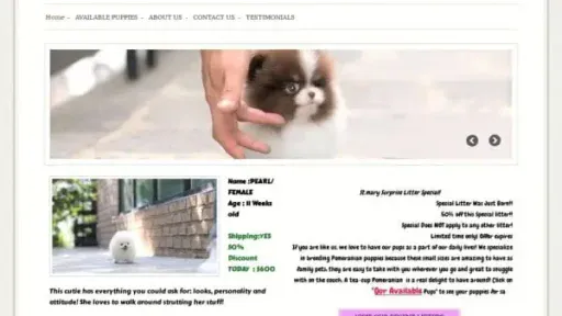 Screenshot of