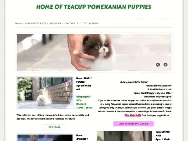 Screenshot of