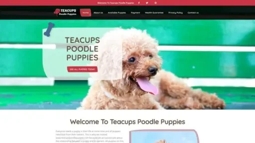 Screenshot of
