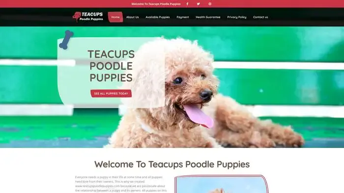 Screenshot of