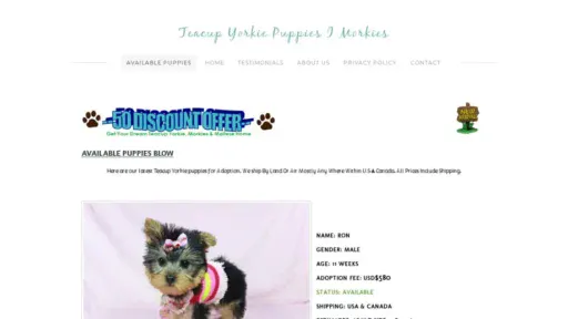 Screenshot of