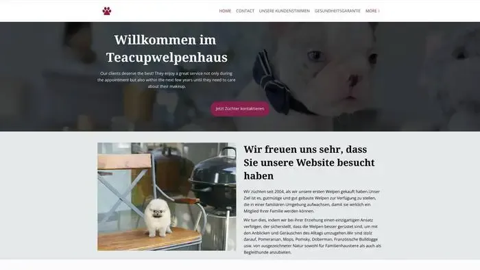 Screenshot of