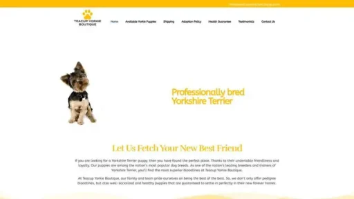 Screenshot of