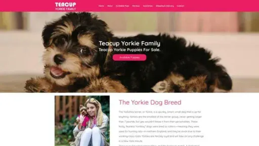 Screenshot of