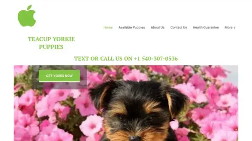 Screenshot of