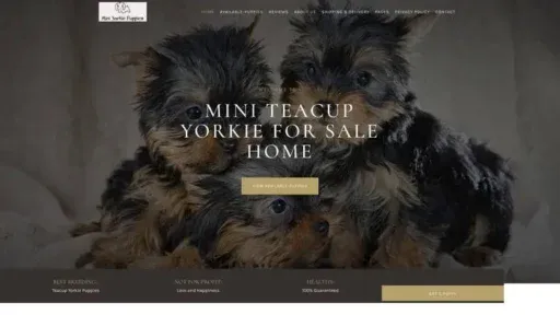 Screenshot of