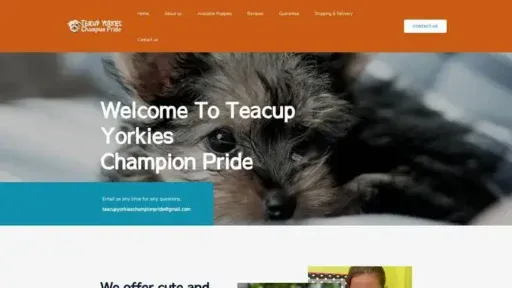 Screenshot of
