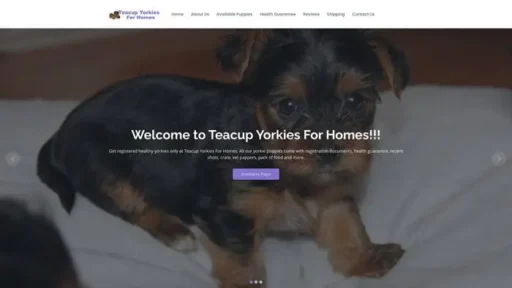 Screenshot of