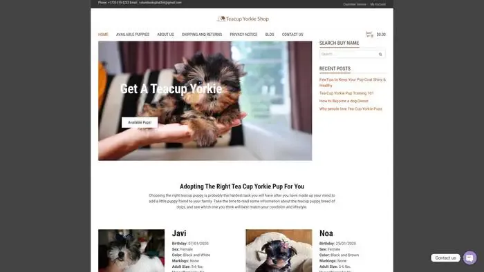 Screenshot of